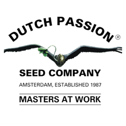 dutch-passion